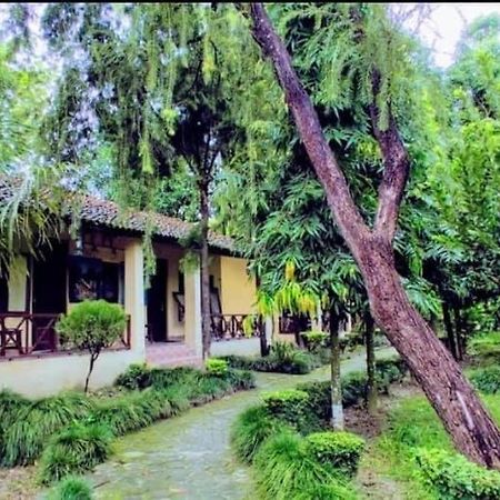 Rhino Lodge Bardia Pvt Ltd Bardiya Exterior foto