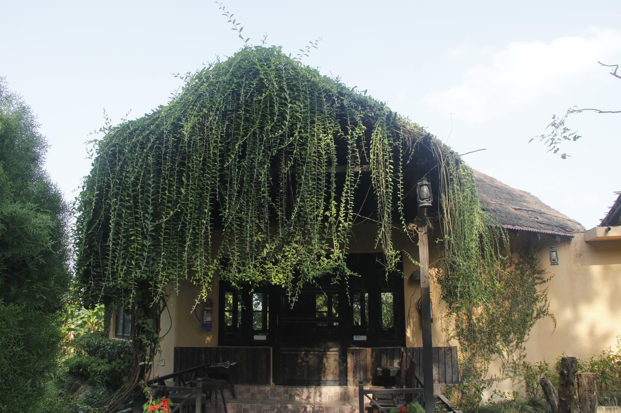 Rhino Lodge Bardia Pvt Ltd Bardiya Exterior foto